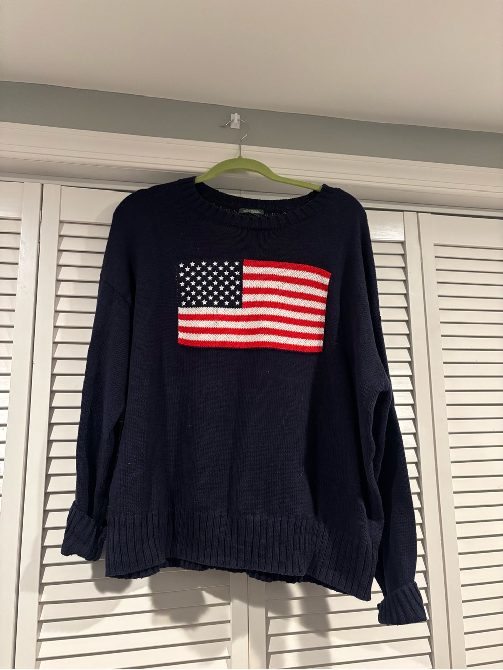 Wild Fable flag sweater